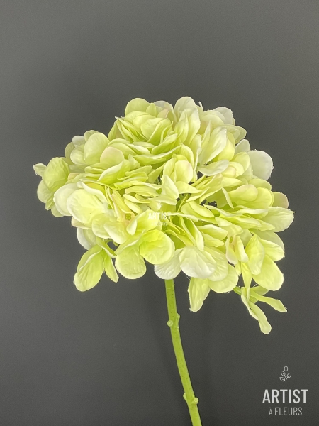 Hortensia groen 48cm