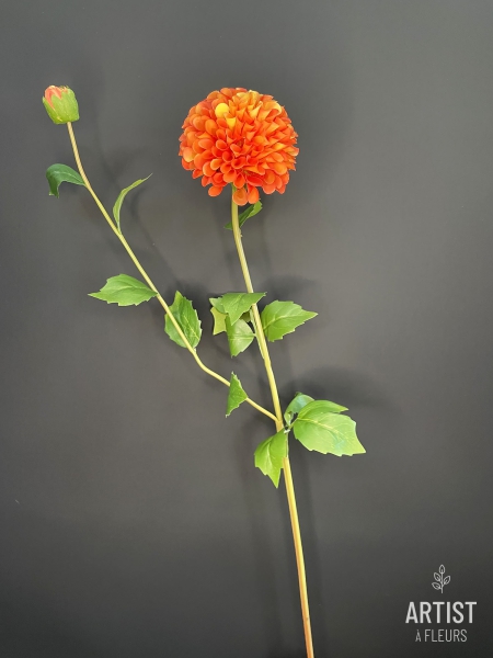 Dahlia oranje klein bloemig