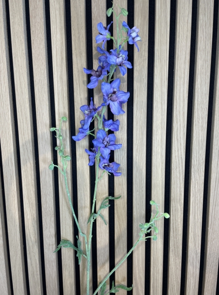 Delphinium Klein bloemig Blauw/Paars