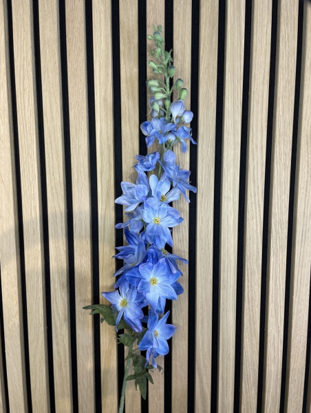 Delphinium Licht blauw Enkel bloemig